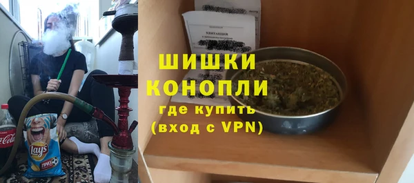 прущие грибы Осинники