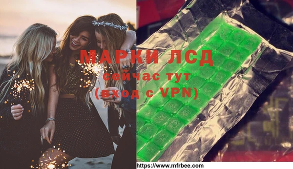 прущие грибы Осинники
