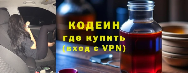 шишки Гвардейск