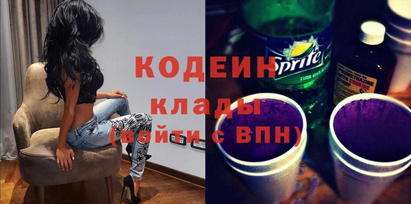 прущие грибы Осинники