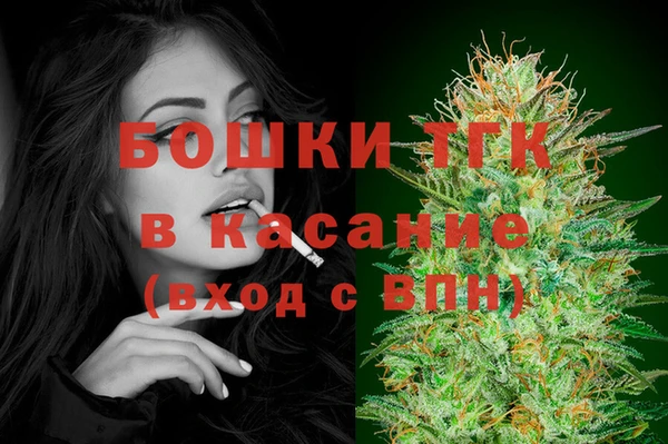 прущие грибы Осинники