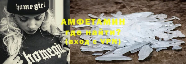 прущие грибы Осинники
