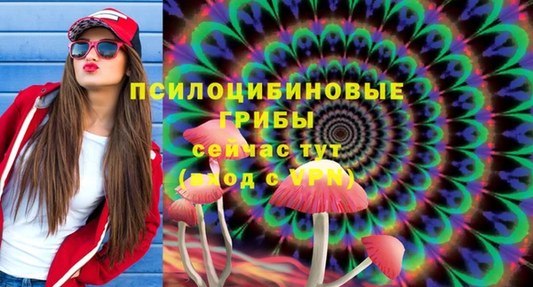прущие грибы Осинники