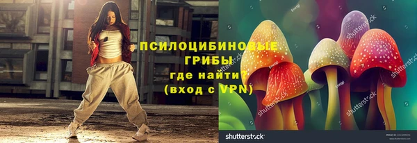 MDMA Няндома