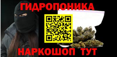 стаф Кандалакша