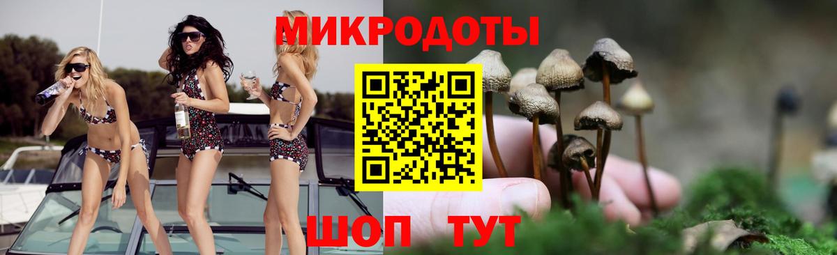 Павловский Посад  Галлюциногенные грибы MAGIC MUSHROOMS  Вход с VPN  Галлюциногенные грибы GOLDEN TEACHER 